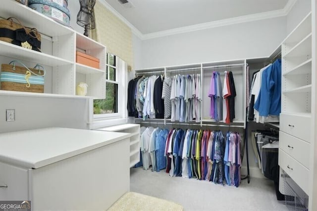 230 Hawks Lake Dr, Ball Ground, GA 30107 - spacious closet featuring carpet flooring