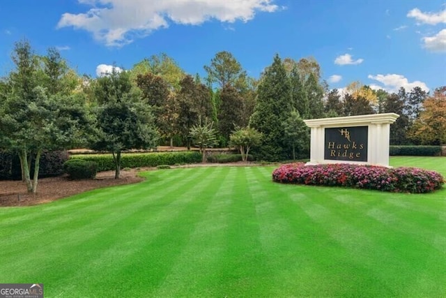 230 Hawks Lake Dr, Ball Ground, GA 30107 - view of community with view of scattered trees and a lawn