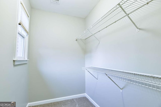 walk in closet with visible vents and carpet floors