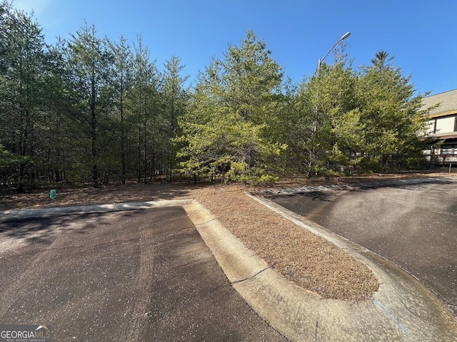 Listing photo 2 for LOT65 Sportlich Weg, Helen GA 30545