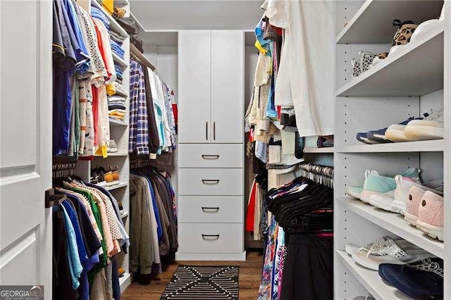 walk in closet featuring wood finished floors