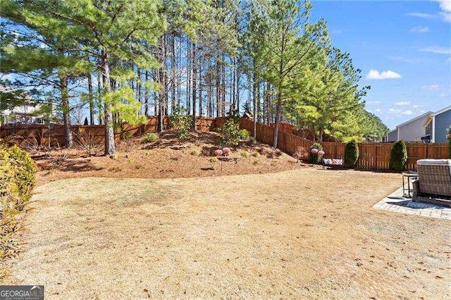 view of yard with a fenced backyard