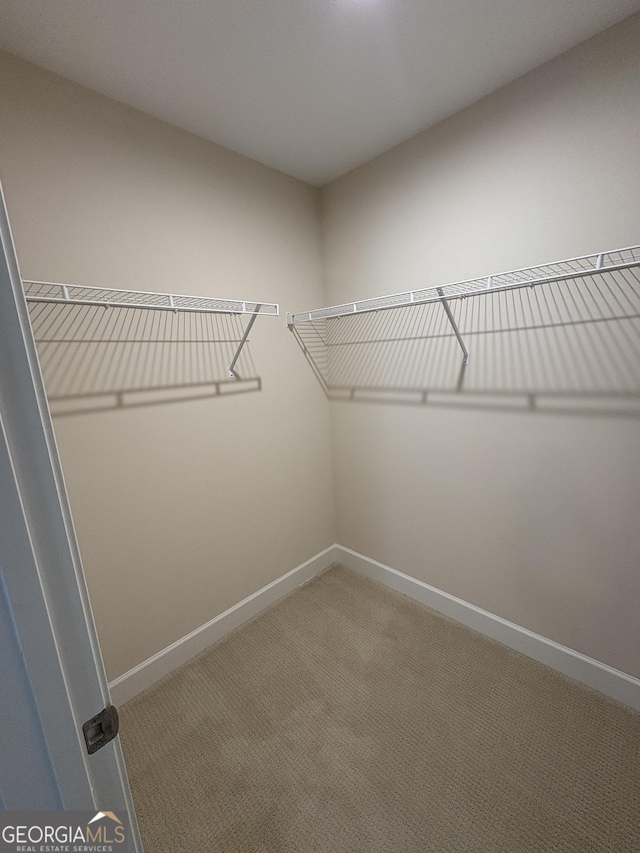 walk in closet with carpet