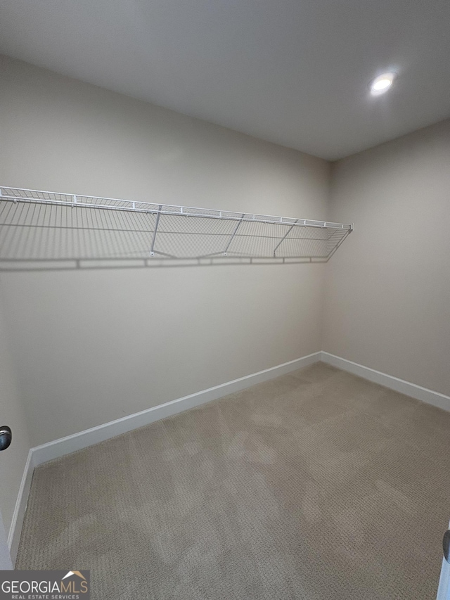 walk in closet featuring carpet floors