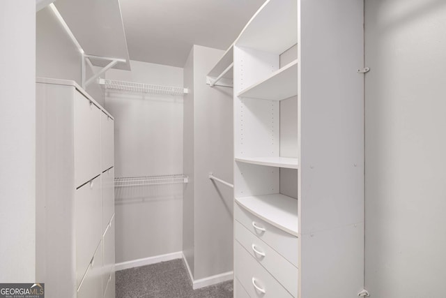 spacious closet featuring carpet