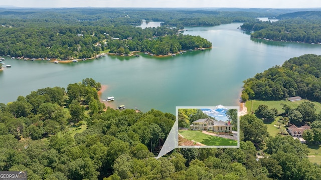 bird's eye view featuring a water view and a view of trees