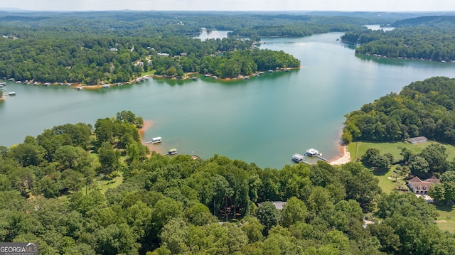 drone / aerial view with a forest view and a water view