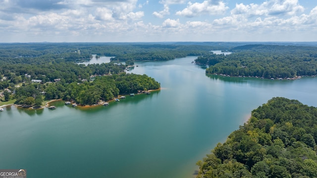birds eye view of property with a water view and a forest view