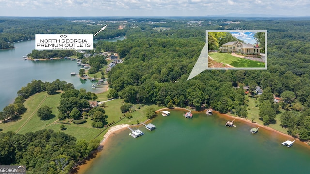 bird's eye view with a wooded view and a water view