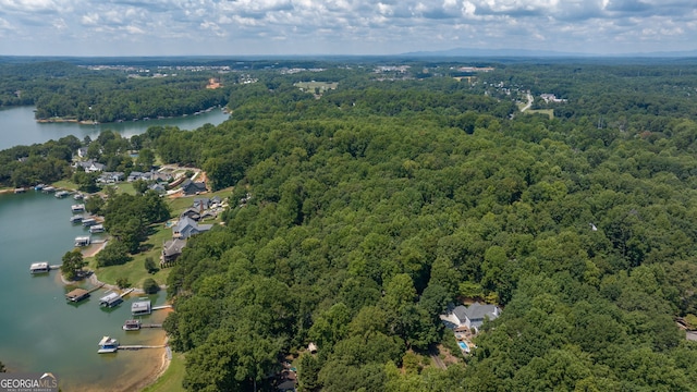 bird's eye view with a water view and a forest view