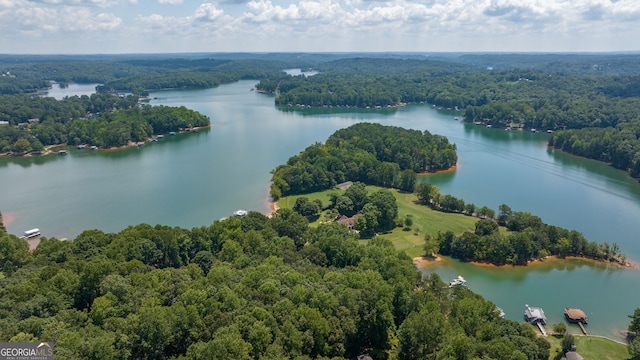 birds eye view of property featuring a wooded view and a water view