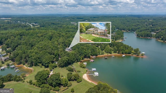 bird's eye view featuring a water view and a forest view