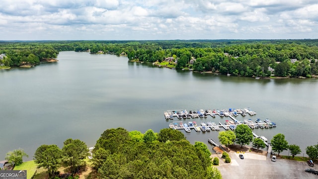 aerial view with a water view and a wooded view