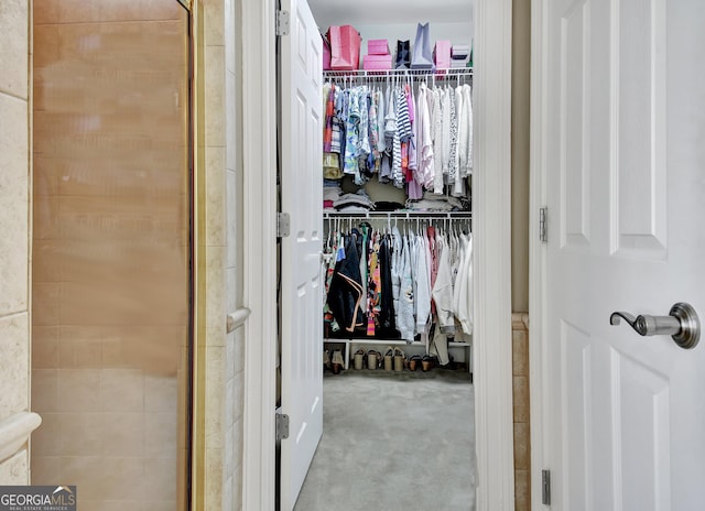 view of closet