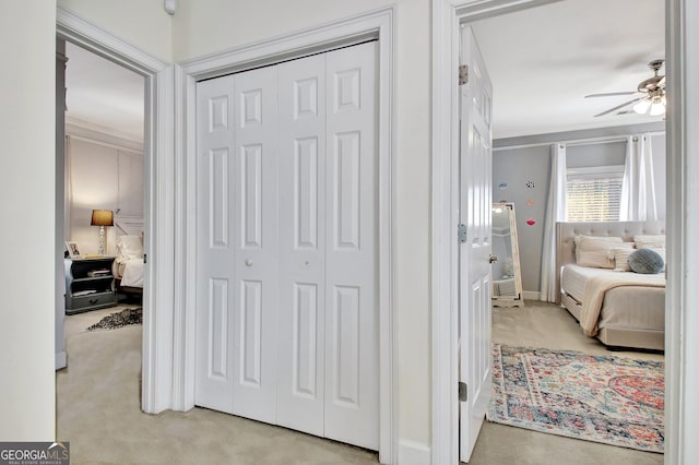 interior space with a closet, light carpet, and crown molding