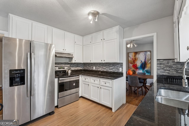 kitchen with under cabinet range hood, stainless steel appliances, light wood-style floors, and a sink