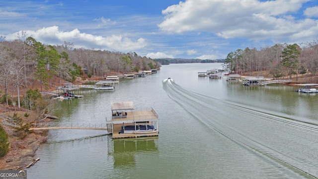 property view of water with a floating dock