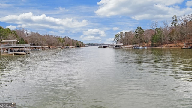 water view with a forest view and a dock