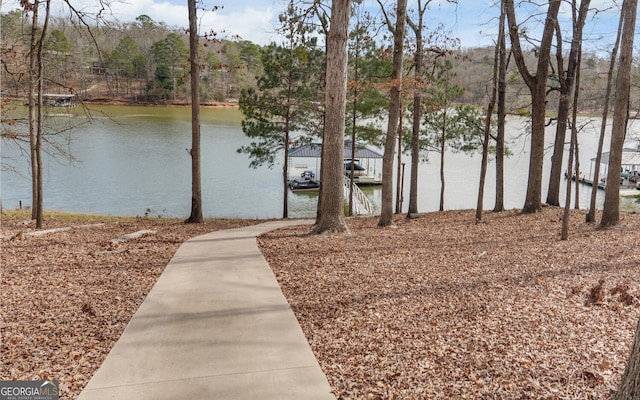 water view featuring a dock