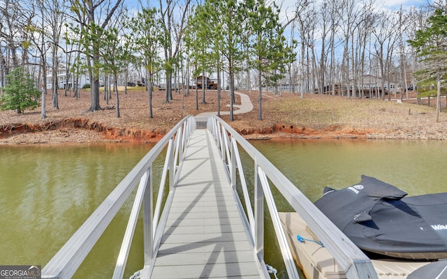 dock area with a water view