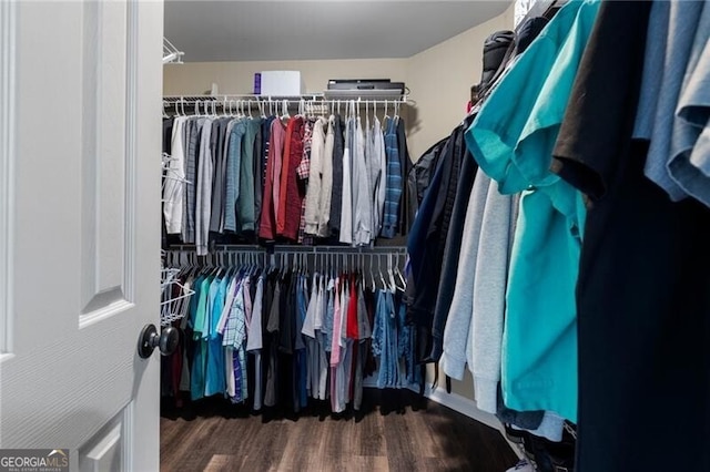 spacious closet with wood finished floors