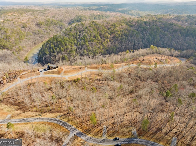 LOT33 S Jakes Landing Way, Ellijay GA, 30540 land for sale