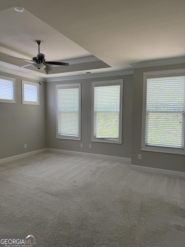 carpeted spare room with baseboards, a raised ceiling, ornamental molding, and ceiling fan