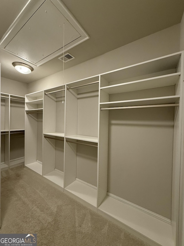 walk in closet with attic access, visible vents, and carpet