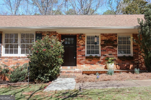 view of exterior entry featuring covered porch, brick siding, and roof with shingles