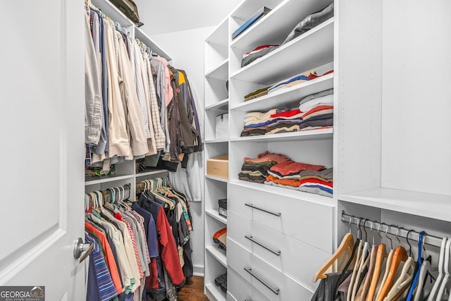 view of walk in closet