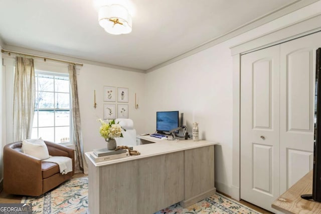 office space with baseboards, light wood-style flooring, and crown molding