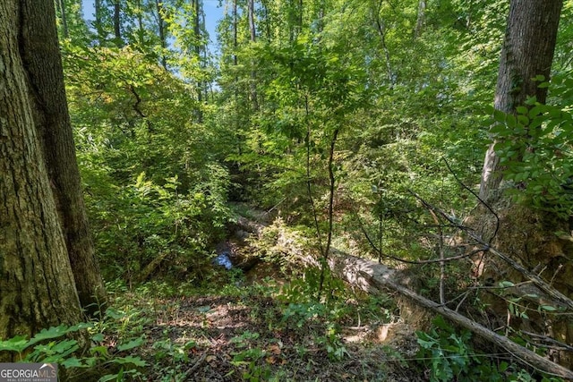 view of landscape featuring a view of trees