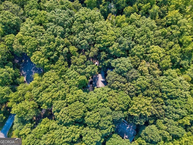 bird's eye view with a view of trees