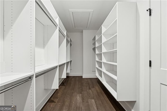 spacious closet featuring attic access and dark wood-style flooring