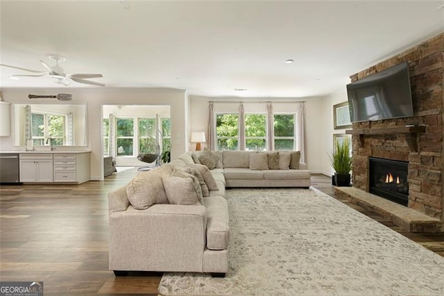 living room with baseboards, plenty of natural light, wood finished floors, and a fireplace