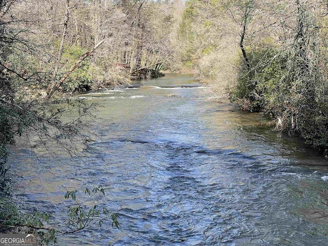 property view of water featuring a view of trees