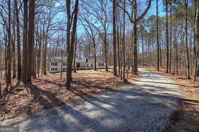 view of road with gravel driveway