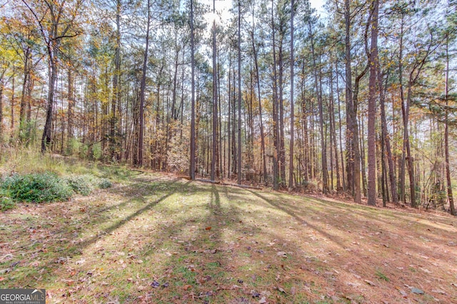 view of yard featuring a wooded view