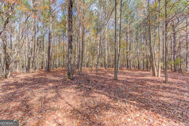 view of nature with a wooded view