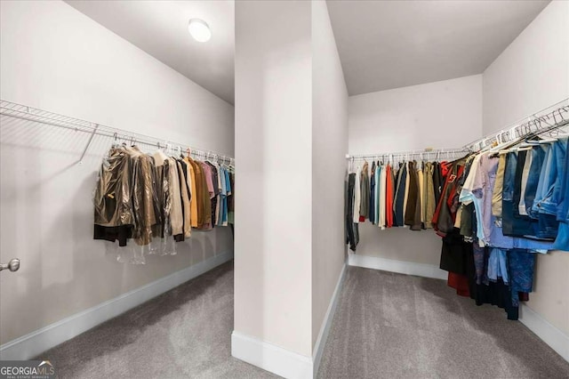 spacious closet featuring carpet flooring