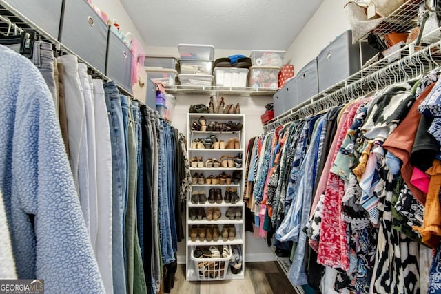 walk in closet featuring wood finished floors