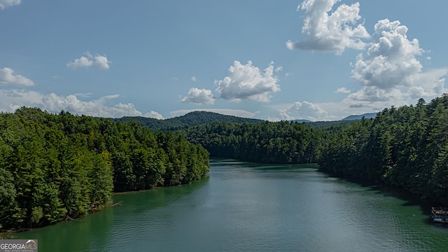 property view of water with a mountain view and a wooded view