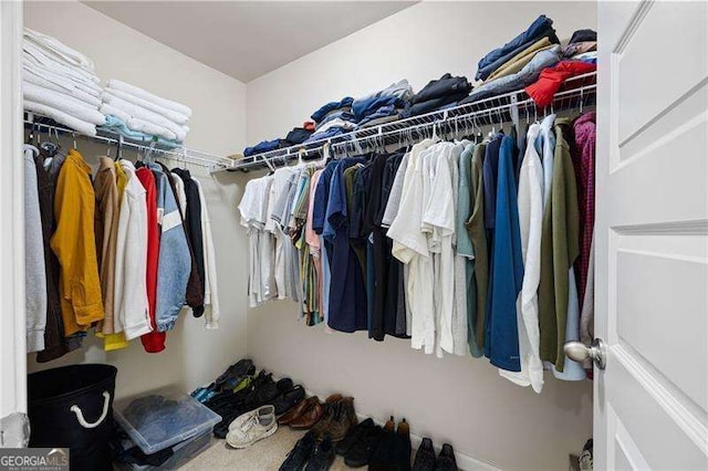 view of spacious closet