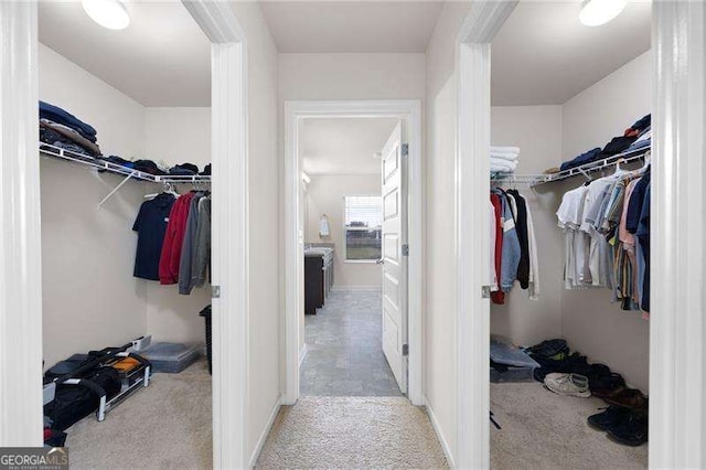 walk in closet with carpet floors