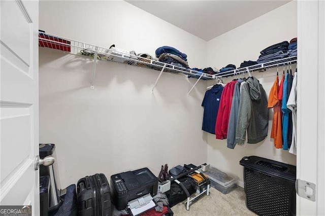 spacious closet featuring carpet flooring