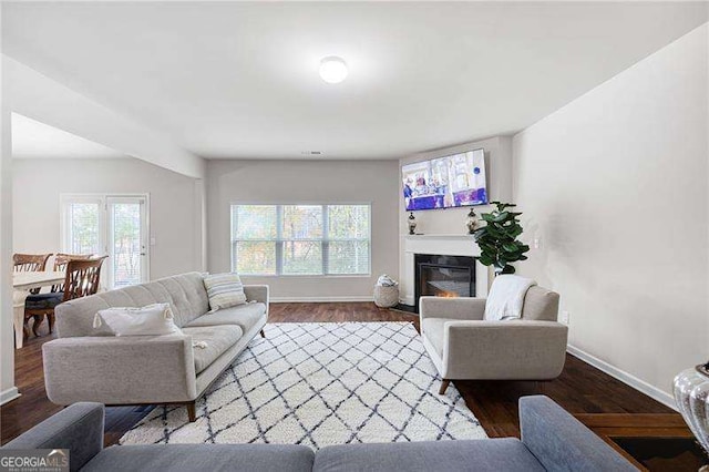 living area featuring a glass covered fireplace, baseboards, and wood finished floors