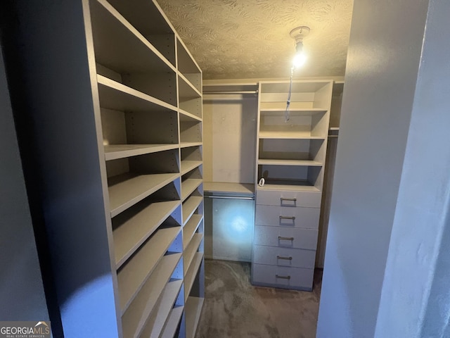 spacious closet featuring carpet flooring