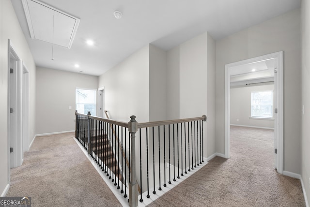 corridor with attic access, recessed lighting, carpet flooring, and plenty of natural light