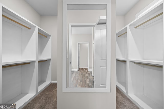 spacious closet with carpet floors