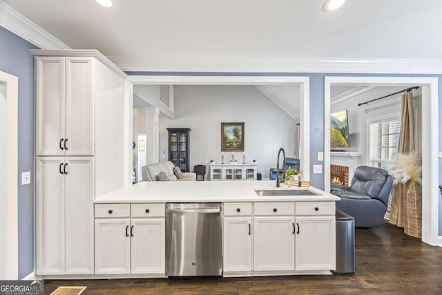 kitchen featuring open floor plan, a fireplace, a sink, and stainless steel dishwasher